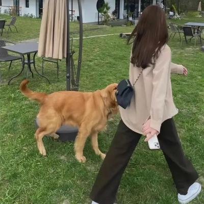 我是未来第一季